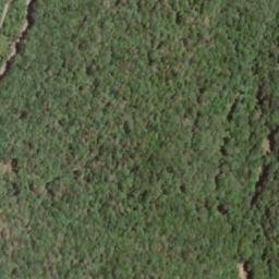 Satellite imagery of Old Field Mountain, US