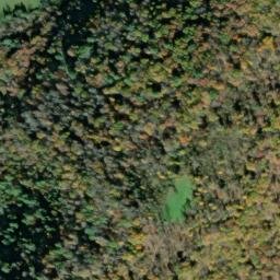 Satellite imagery of Black Oak Ridge, US