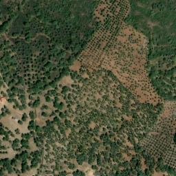 Satellite imagery of survey_point, PT