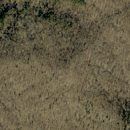 Satellite imagery of Kuntz Ridge, US