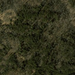 Satellite imagery of Lamb Ridge, US