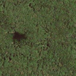 Satellite imagery of Chestnut Ridge, US