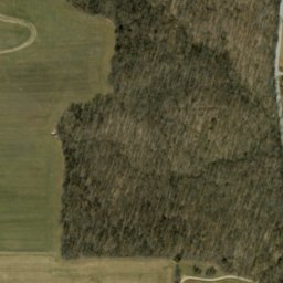 Satellite imagery of Hog Ridge, US