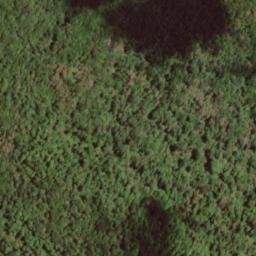 Satellite imagery of Chestnut Ridge, US