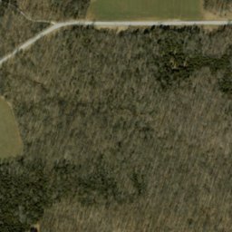 Satellite imagery of Hog Ridge, US