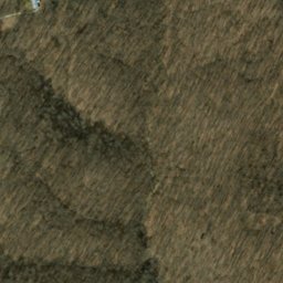 Satellite imagery of Rabbit Hash Ridge, US