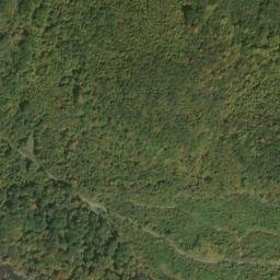 Satellite imagery of Hurricane Ridge, US