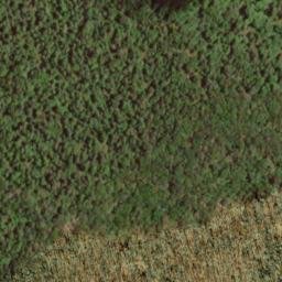 Satellite imagery of Chestnut Ridge, US