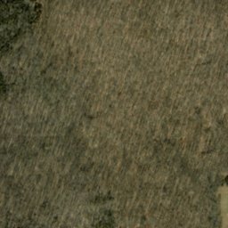 Satellite imagery of Hog Ridge, US