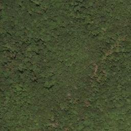 Satellite imagery of Beaver Lick Mountain, US