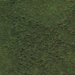 Satellite imagery of Beaver Lick Mountain, US