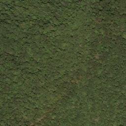 Satellite imagery of Beaver Lick Mountain, US