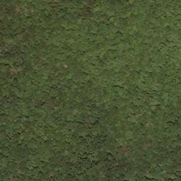 Satellite imagery of Beaver Lick Mountain, US