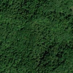 Satellite imagery of Alderson Ridge, US