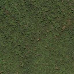 Satellite imagery of Beaver Lick Mountain, US