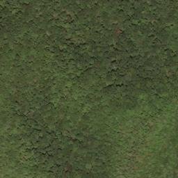 Satellite imagery of Beaver Lick Mountain, US