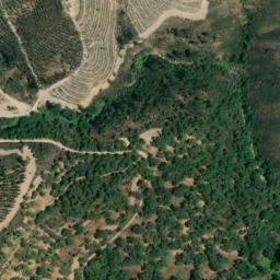Satellite imagery of survey_point, PT