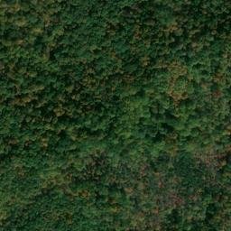Satellite imagery of Bills Point, US