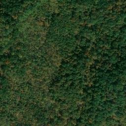 Satellite imagery of Bills Point, US