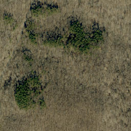 Satellite imagery of Martin Ridge, US