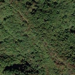 Satellite imagery of Lick Fork Ridge, US