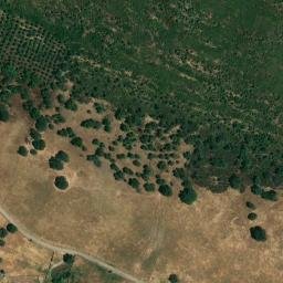 Satellite imagery of survey_point, PT