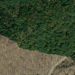 Satellite imagery of Bills Point, US