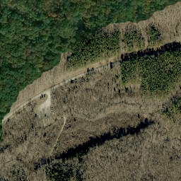 Satellite imagery of Bills Point, US