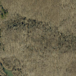 Satellite imagery of Martin Ridge, US