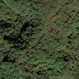 Satellite imagery of Lick Fork Ridge, US
