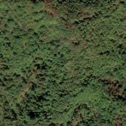 Satellite imagery of Lick Fork Ridge, US