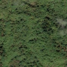 Satellite imagery of Lick Fork Ridge, US