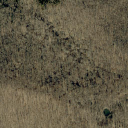Satellite imagery of Bills Point, US