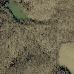 Satellite imagery of Martin Ridge, US