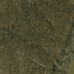 Satellite imagery of The Narrows, US