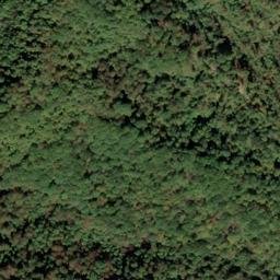 Satellite imagery of Lick Fork Ridge, US