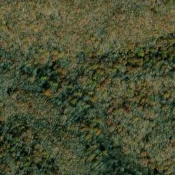 Satellite imagery of Panther Ridge, US