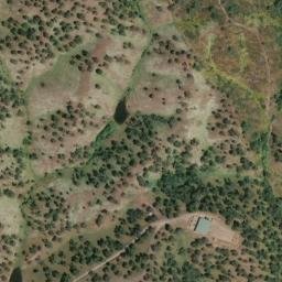 Satellite imagery of survey_point, PT
