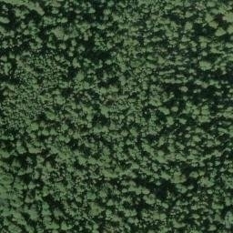 Satellite imagery of Pecks Ridge, US