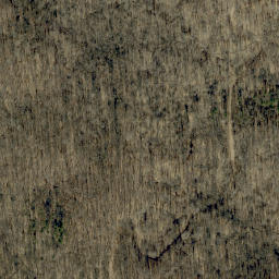 Satellite imagery of Goosetown Ridge, US