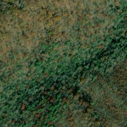 Satellite imagery of Panther Ridge, US