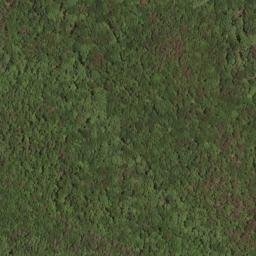Satellite imagery of Salt Pond Ridge, US