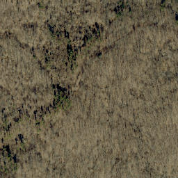 Satellite imagery of Goosetown Ridge, US
