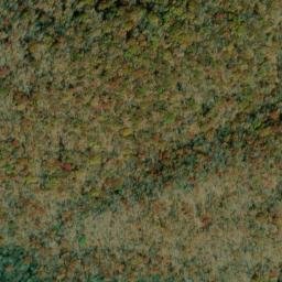 Satellite imagery of Panther Ridge, US