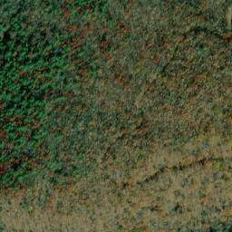 Satellite imagery of Panther Ridge, US