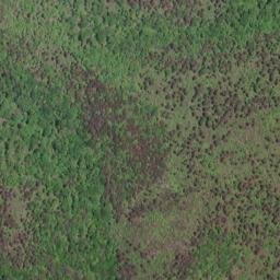 Satellite imagery of Brushy Ridge, US