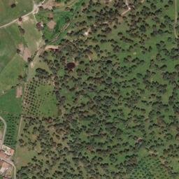 Satellite imagery of survey_point, PT
