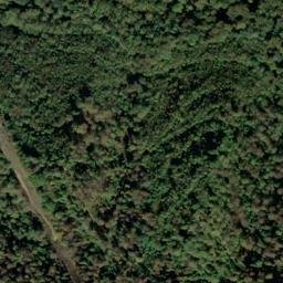 Satellite imagery of Fork Ridge, US