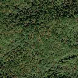 Satellite imagery of Pea Ridge, US