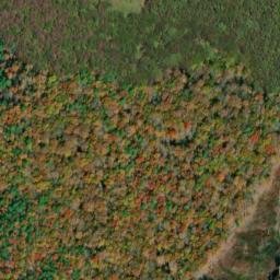 Satellite imagery of Salt Pond Ridge, US